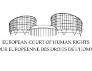 echr-fedchenko-russia